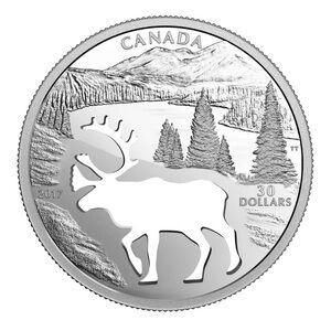 This coin is 99.99% pure silver, with a diameter of 54 millimetres.